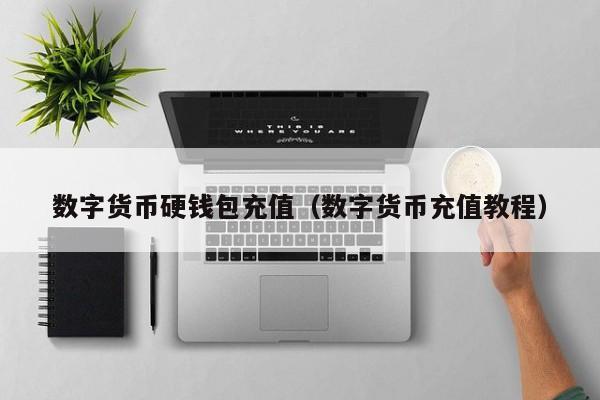 数字货币硬钱包充值(数字货币充值教程)